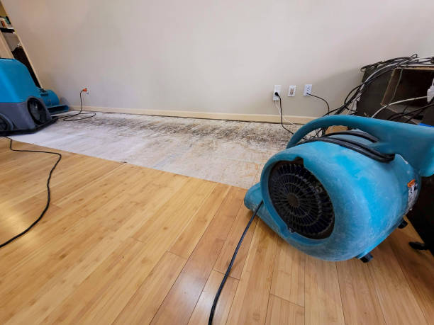 Professional Water Extraction technician working in Lothian, MD